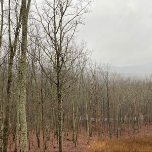 Meet your Posher, Rakesh